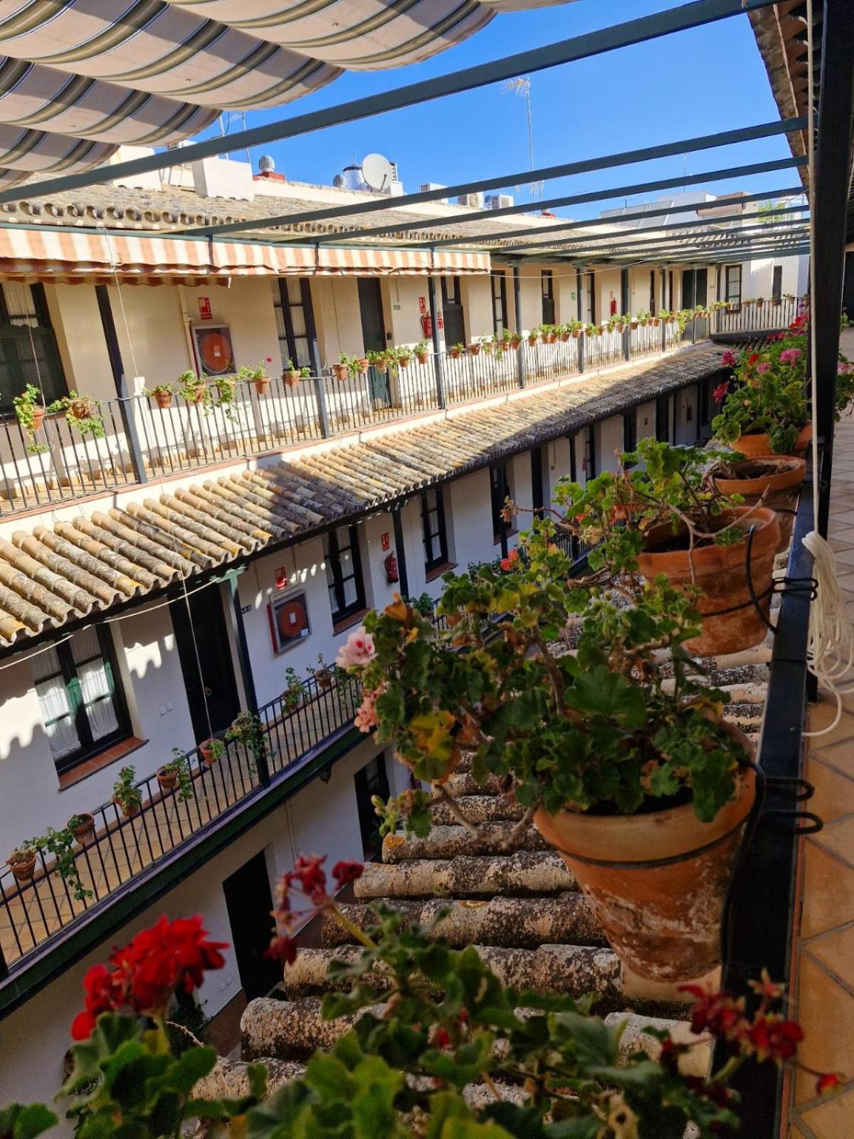 Patio Cartuja Apartment Seville Ngoại thất bức ảnh